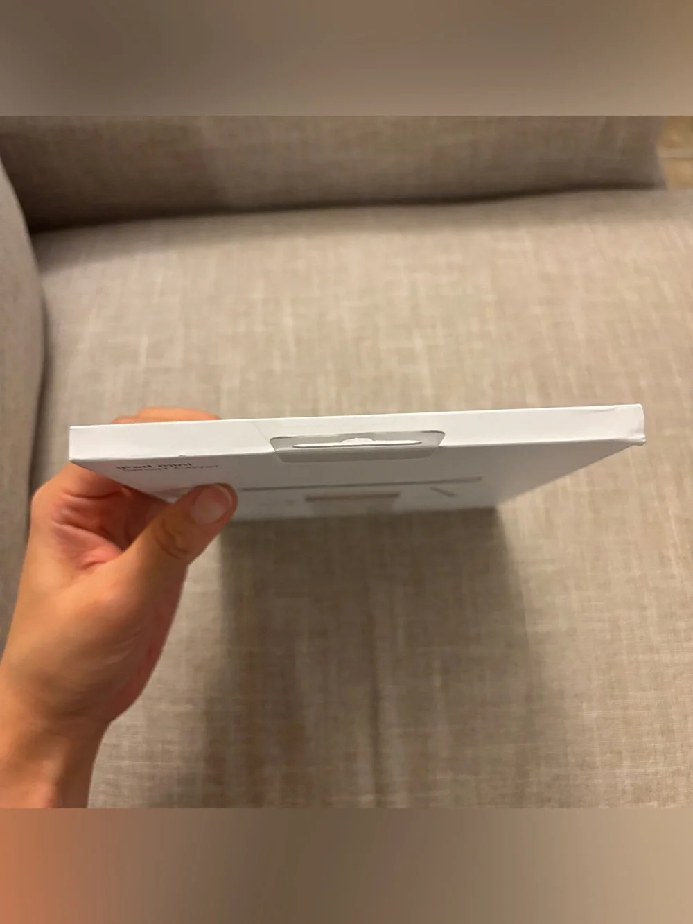 Apple gray mini
